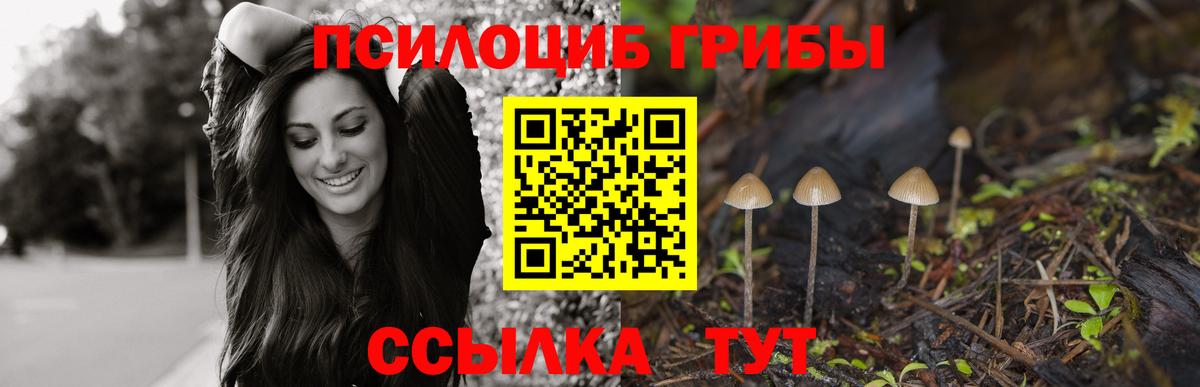 Псилоцибиновые грибы ЛСД Осинники